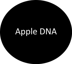 Apple DNA | Apple Chevrolet Northfield in Northfield MN