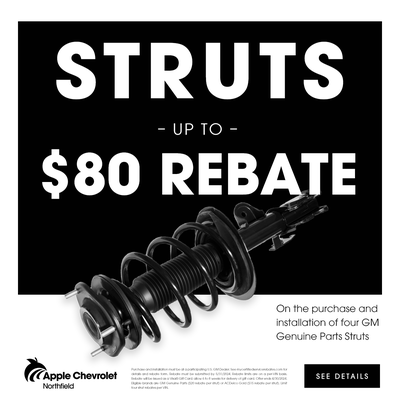 Up to $80 Rebate on Struts!